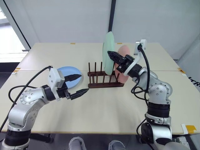 Robot-view image at t1